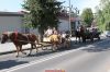 IMG_3301.JPG