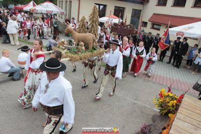 Kliknij aby obejrzeć w pełnym rozmiarze