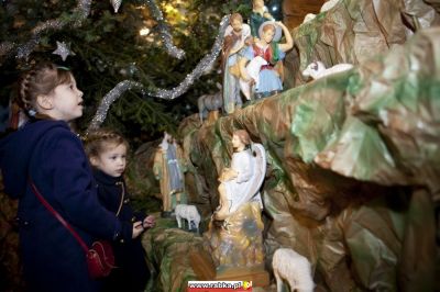 Kliknij aby obejrzeć w pełnym rozmiarze