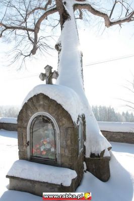 Kliknij aby obejrzeć w pełnym rozmiarze