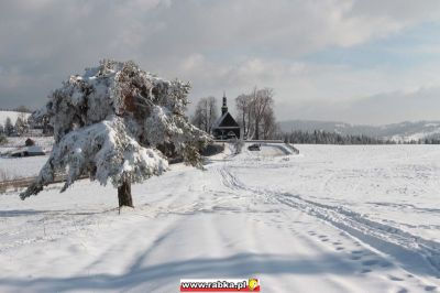 Kliknij aby obejrzeć w pełnym rozmiarze