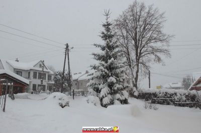 Kliknij aby obejrzeć w pełnym rozmiarze