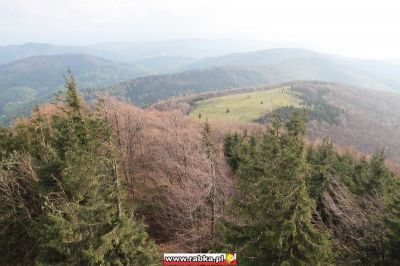 Kliknij aby obejrzeć w pełnym rozmiarze