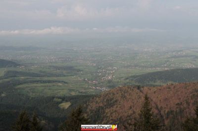 Kliknij aby obejrzeć w pełnym rozmiarze