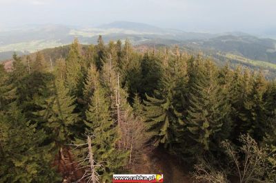 Kliknij aby obejrzeć w pełnym rozmiarze