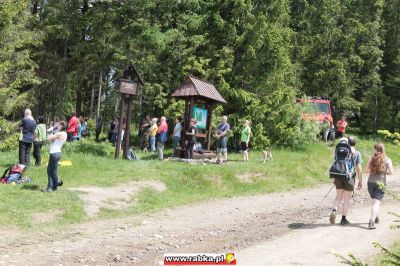 Kliknij aby obejrzeć w pełnym rozmiarze