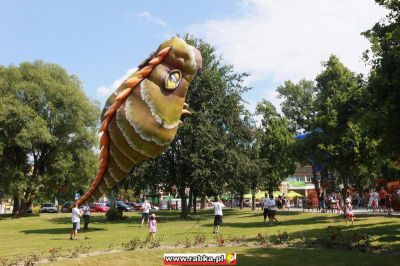 Kliknij aby obejrzeć w pełnym rozmiarze