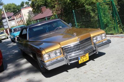 Kliknij aby obejrzeć w pełnym rozmiarze