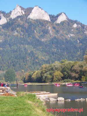 Kliknij aby obejrzeć w pełnym rozmiarze