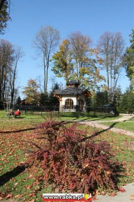 Kliknij aby obejrzeć w pełnym rozmiarze