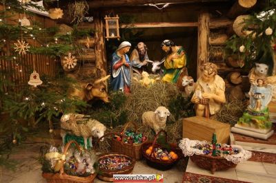 Kliknij aby obejrzeć w pełnym rozmiarze