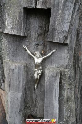 Kliknij aby obejrzeć w pełnym rozmiarze