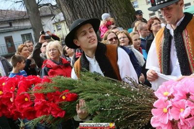 Kliknij aby obejrzeć w pełnym rozmiarze