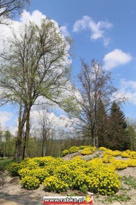 Kliknij aby obejrzeć w pełnym rozmiarze