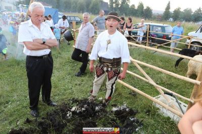 Kliknij aby obejrzeć w pełnym rozmiarze
