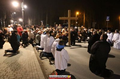 Kliknij aby obejrzeć w pełnym rozmiarze