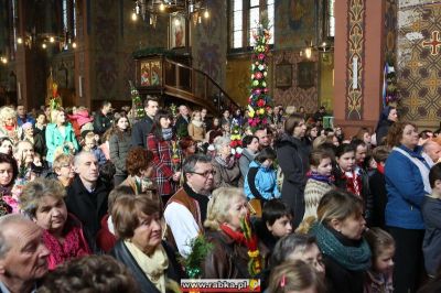 Kliknij aby obejrzeć w pełnym rozmiarze