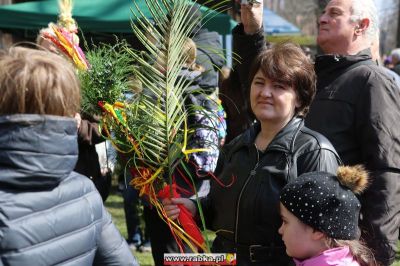 Kliknij aby obejrzeć w pełnym rozmiarze
