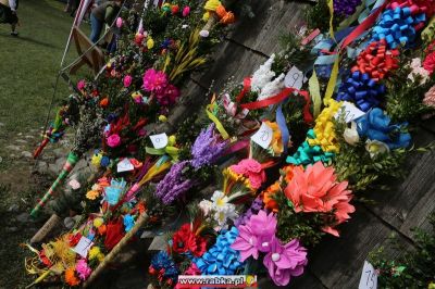 Kliknij aby obejrzeć w pełnym rozmiarze