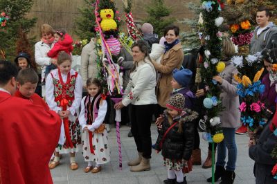 Kliknij aby obejrzeć w pełnym rozmiarze