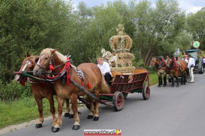 Kliknij aby obejrzeć w pełnym rozmiarze