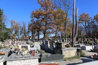 Kliknij aby obejrzeć w pełnym rozmiarze