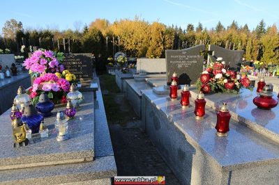 Kliknij aby obejrzeć w pełnym rozmiarze