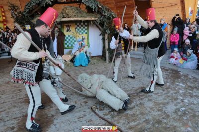 Kliknij aby obejrzeć w pełnym rozmiarze