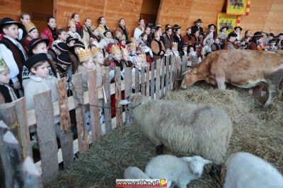 Kliknij aby obejrzeć w pełnym rozmiarze