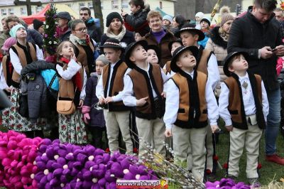 Kliknij aby obejrzeć w pełnym rozmiarze