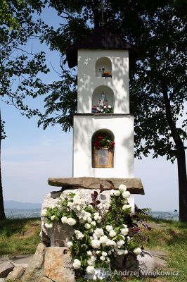 Kliknij aby obejrzeć w pełnym rozmiarze