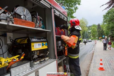 Kliknij aby obejrzeć w pełnym rozmiarze