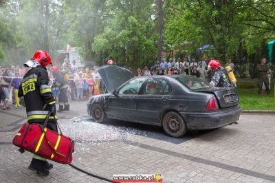 Kliknij aby obejrzeć w pełnym rozmiarze