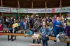 IMG_5254.jpg