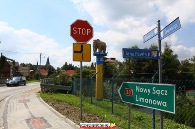 Kliknij aby obejrzeć w pełnym rozmiarze