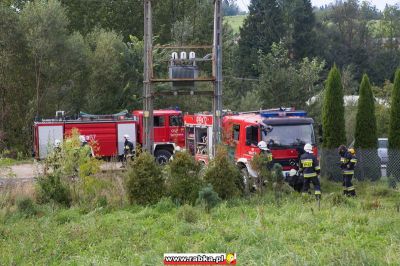 Kliknij aby obejrzeć w pełnym rozmiarze