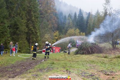 Kliknij aby obejrzeć w pełnym rozmiarze