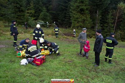 Kliknij aby obejrzeć w pełnym rozmiarze