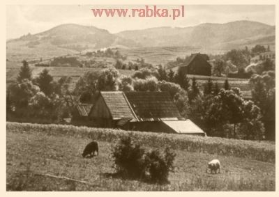 Kliknij aby obejrzeć w pełnym rozmiarze