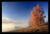 6926906-lg.jpg